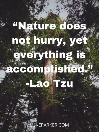 Nature does not hurry yet everything is accomplished