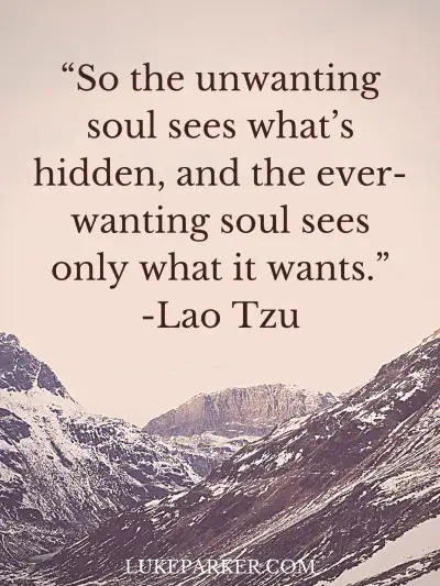 So the unwanting soul sees whats hidden, and the ever wanting soul sees only what it wants