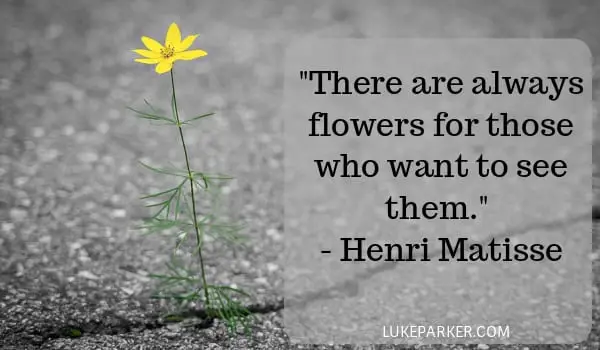 There are always flowers for those who want to see them. Henri Matisse