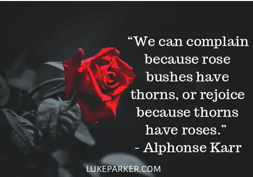 We can complain because rose bushes have thorns, or rejoice because thorns have roses. Alphonse Karr